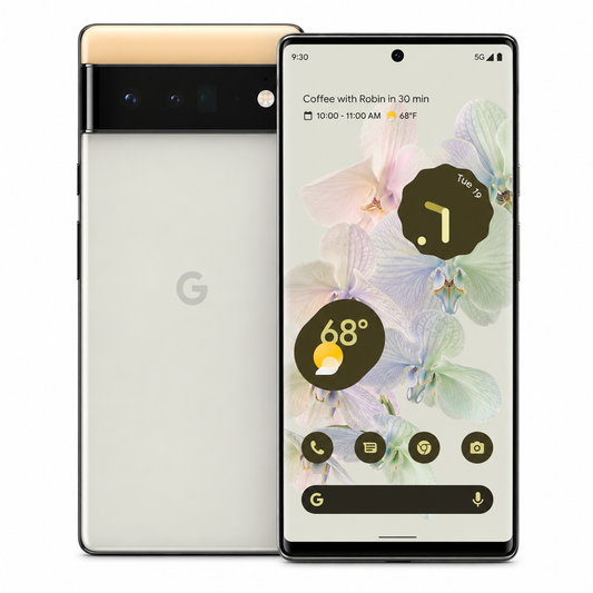 Google Pixel 6 Pro ..